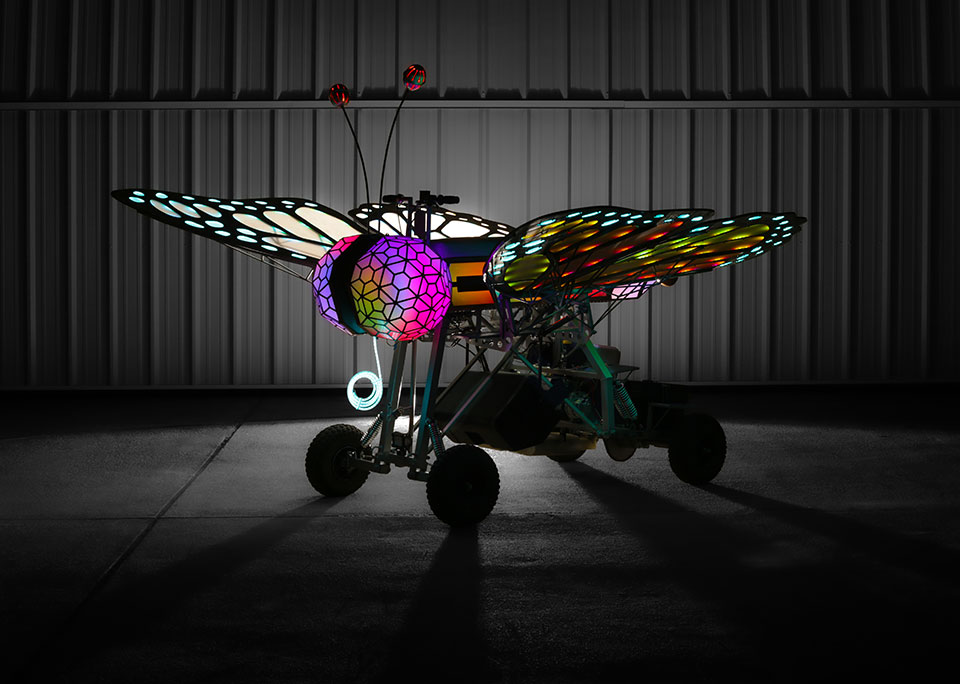 Butterfly B&W