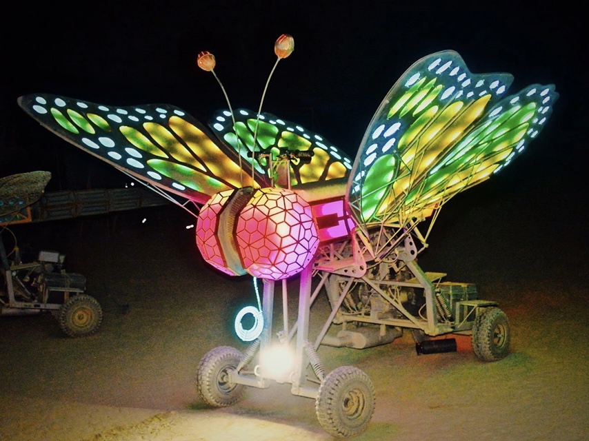 Camp Fly